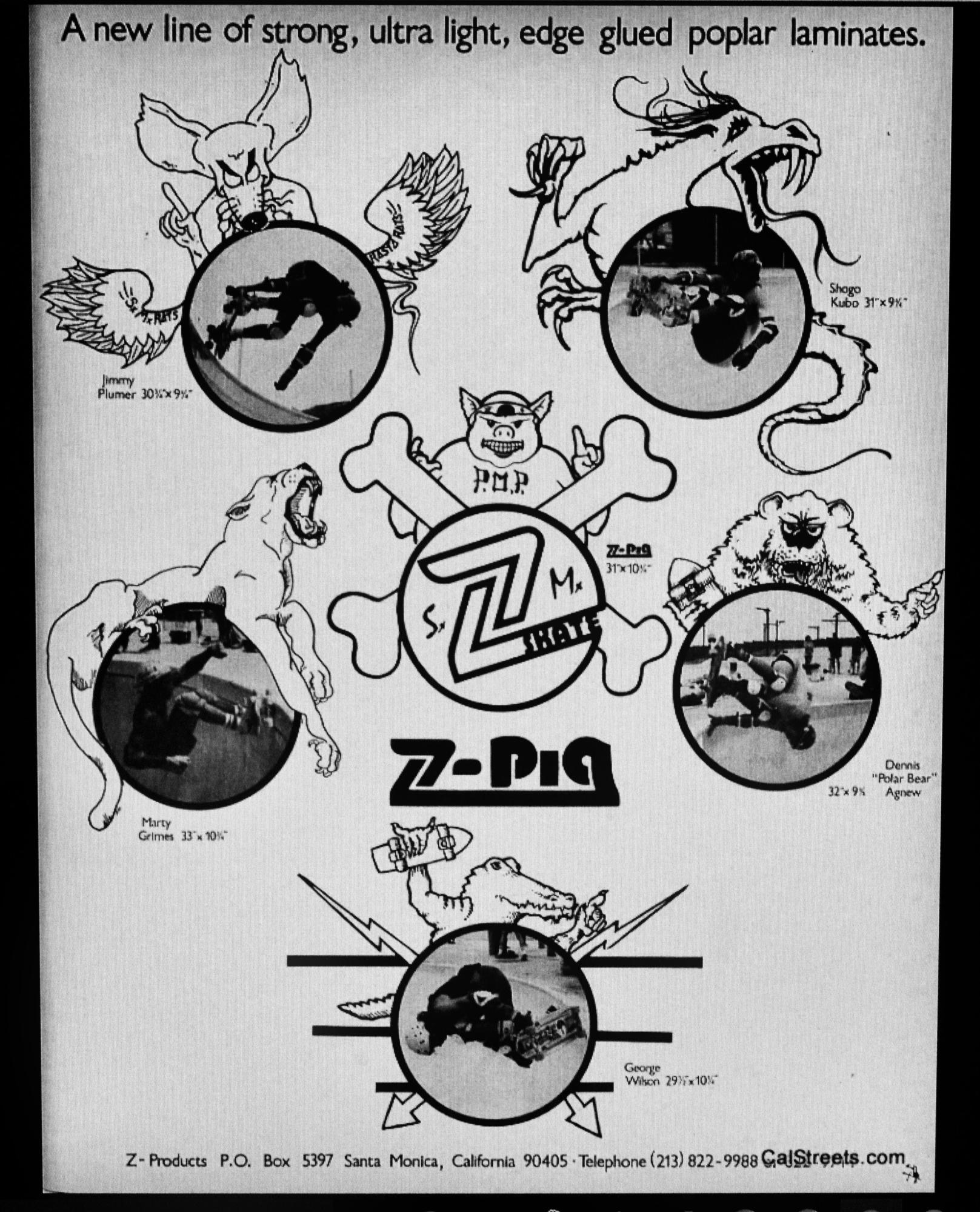 Z-Flex Logos
